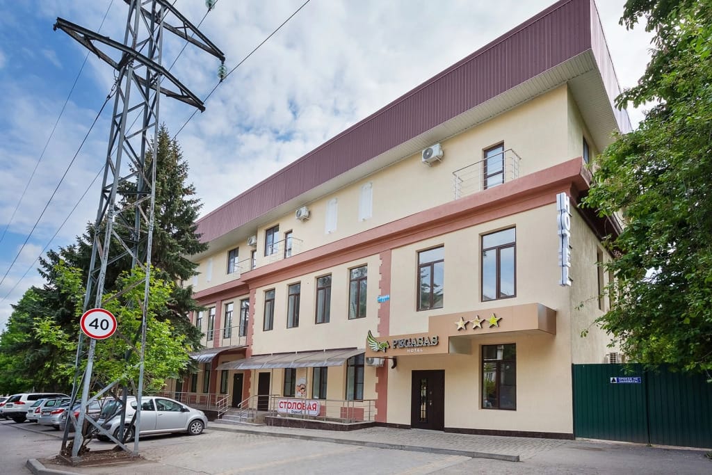 PEGASAS (ПЕГАСАС) фото 5