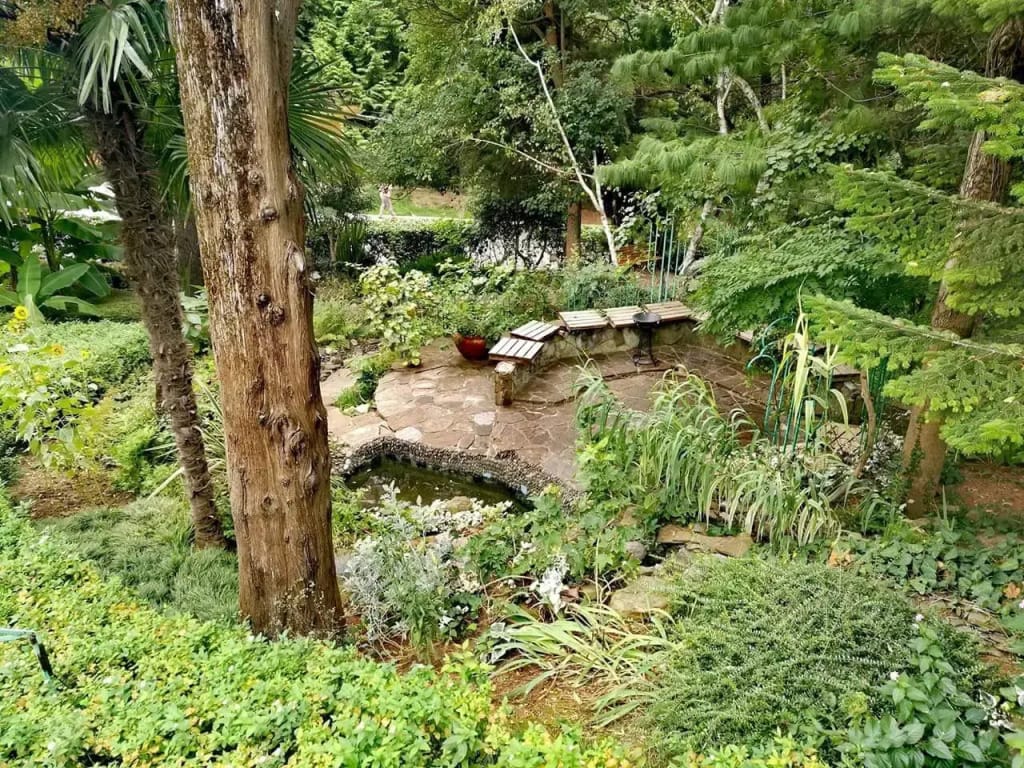 Лазурная отель и Спа фото 4