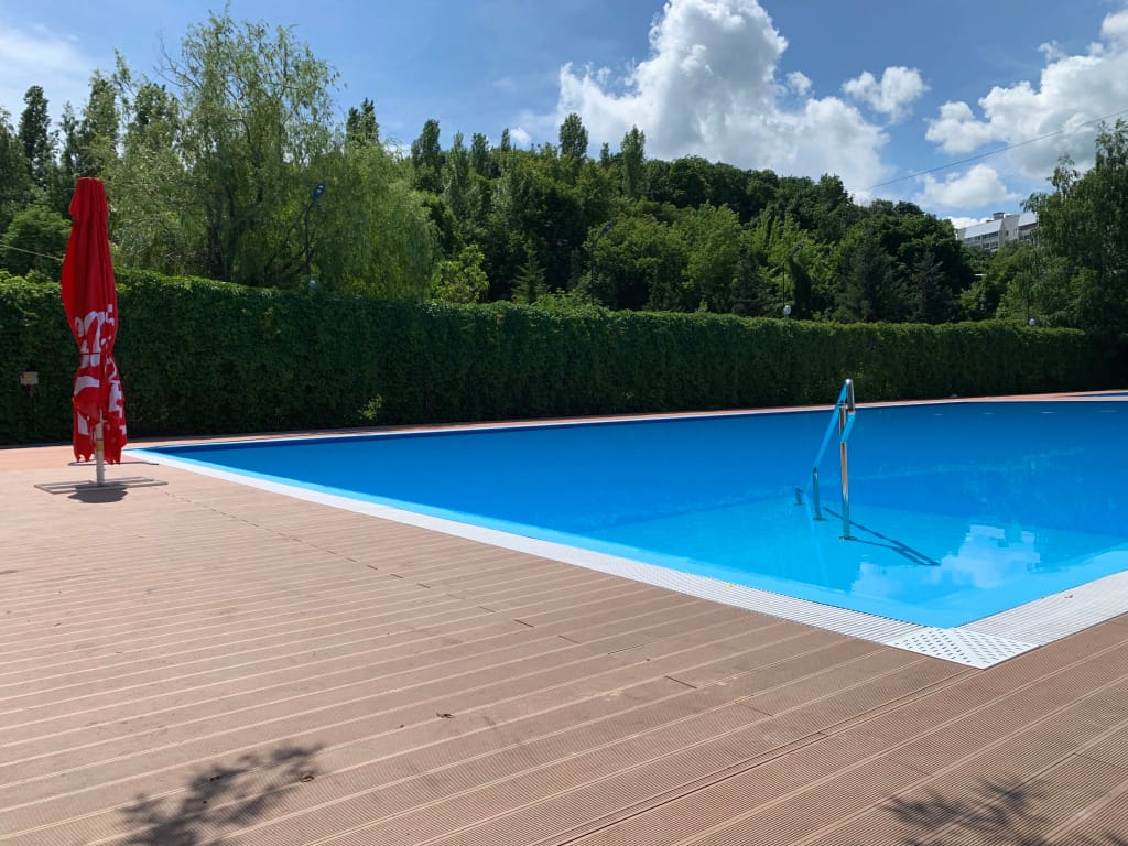 Сокол фото 5