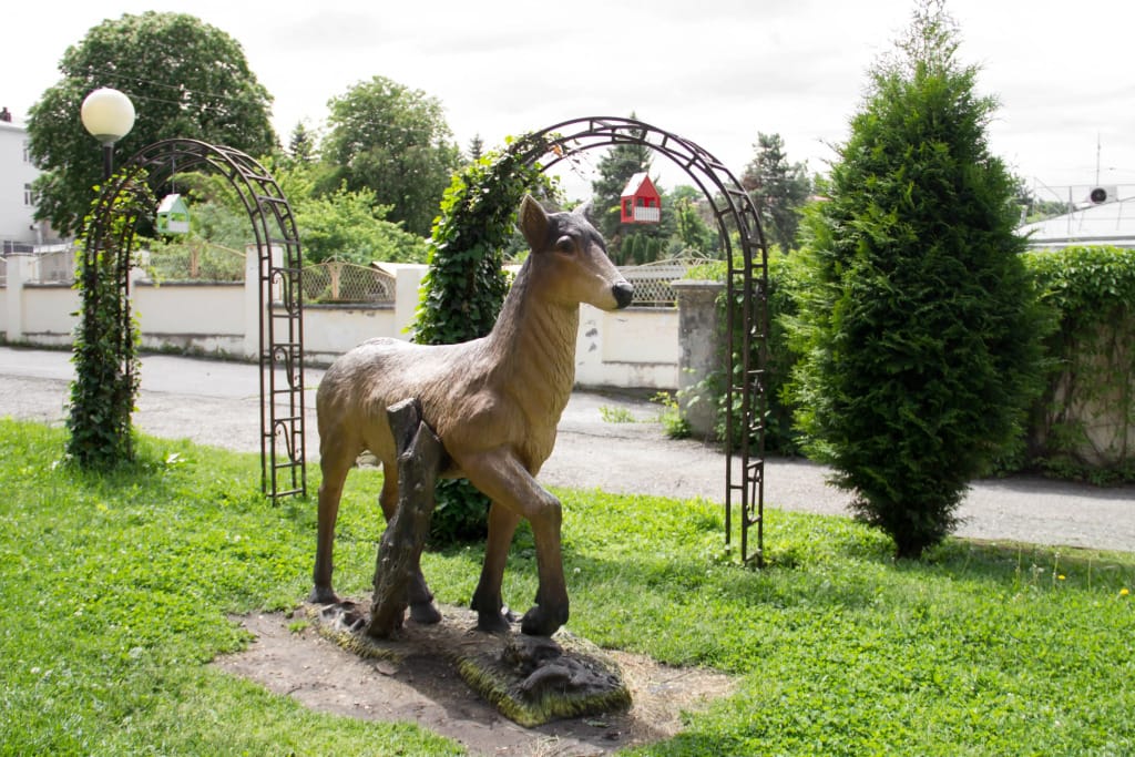 Смена фото 3