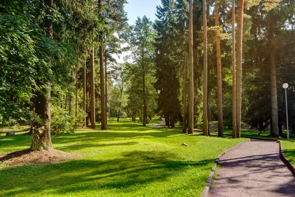 Отель «Репино Парк Отель» фото 4