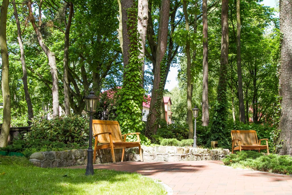 Royal Falke Resort & SPA (Роял Фальке) фото 3