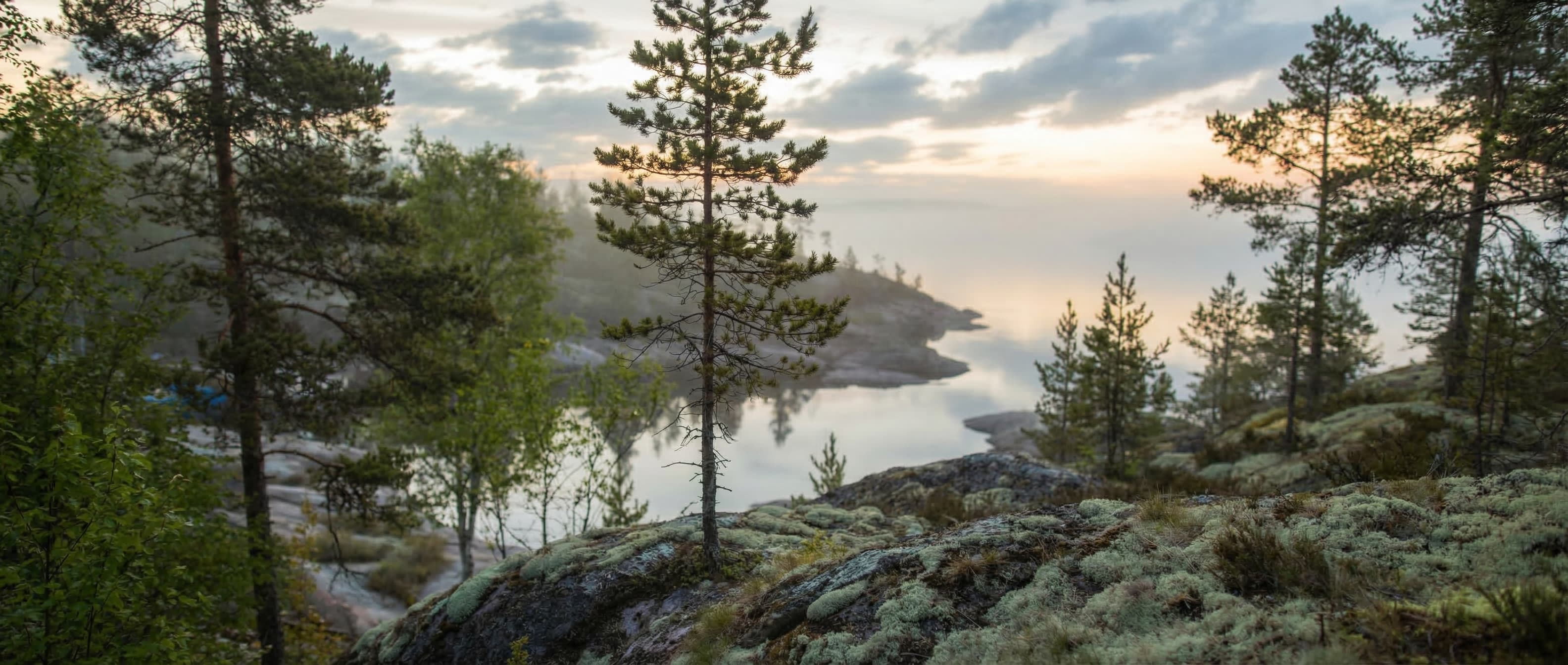 Санатории Северо-Запада