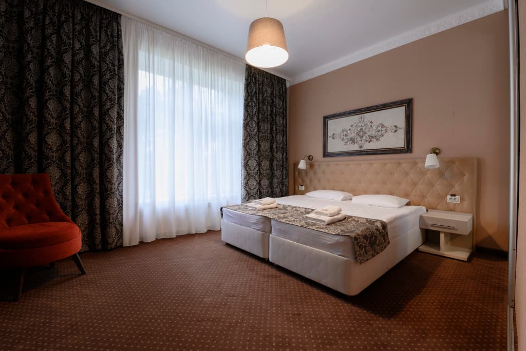 Номер Comfort с красивым видом из окна